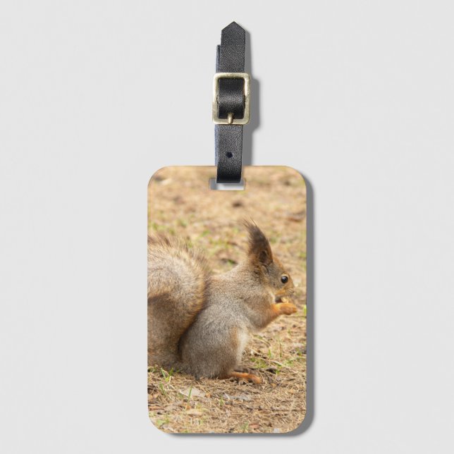 Cute squirrel eats a nut photo luggage tag (Front Vertical)