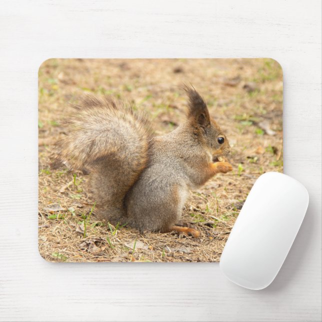 Cute squirrel eats a nut photo mouse mat (With Mouse)