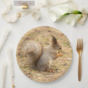 Cute squirrel eats a nut photo paper plate