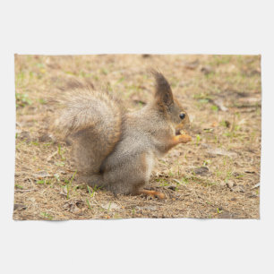 Cute squirrel eats a nut photo tea towel