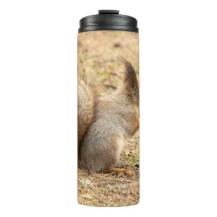 Cute squirrel eats a nut photo thermal tumbler