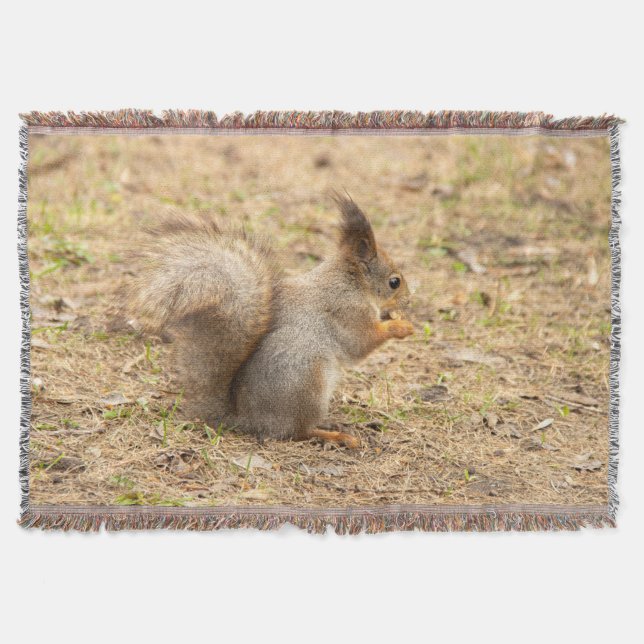 Cute squirrel eats a nut photo throw blanket (Front)