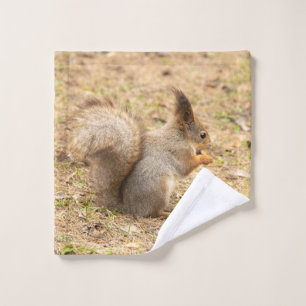 Cute squirrel eats a nut photo wash cloth