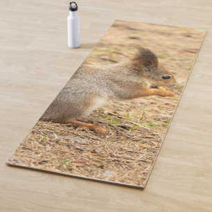 Cute squirrel eats a nut photo yoga mat