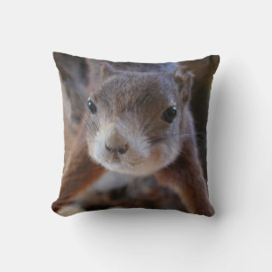 Cute Squirrel Face Pillow
