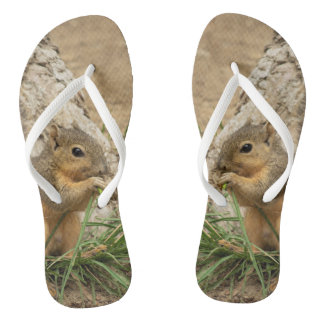 Cute Squirrel Flip Flop Sandals