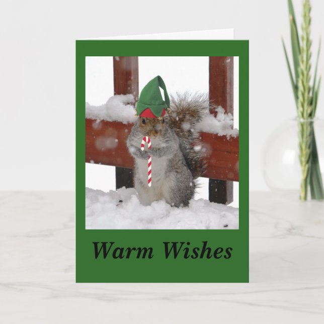 Cute Squirrel Folded Holiday Card on Green (Front)