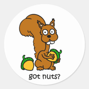 Cute squirrel got nuts classic round sticker