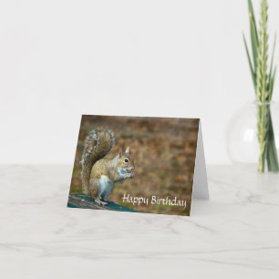 Cute Squirrel Happy Birthday Card