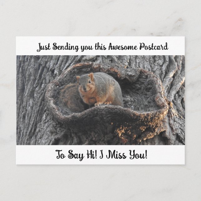 Cute Squirrel "I Miss YOU" Saying Hi Post Card (Front)