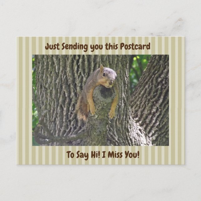 Cute Squirrel "I Miss YOU" Saying Hi Postcard (Front)