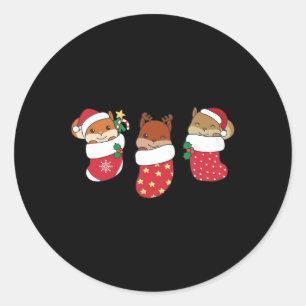 Cute Squirrel In Christmas Sock For Christmas  Classic Round Sticker