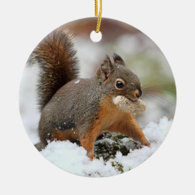 Cute Squirrel in Snow with Peanut Ceramic Tree Decoration (Front)