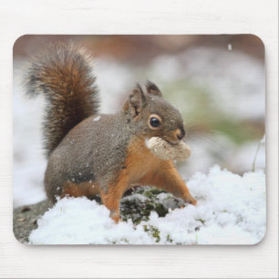Cute Squirrel in Snow with Peanut Mouse Mat