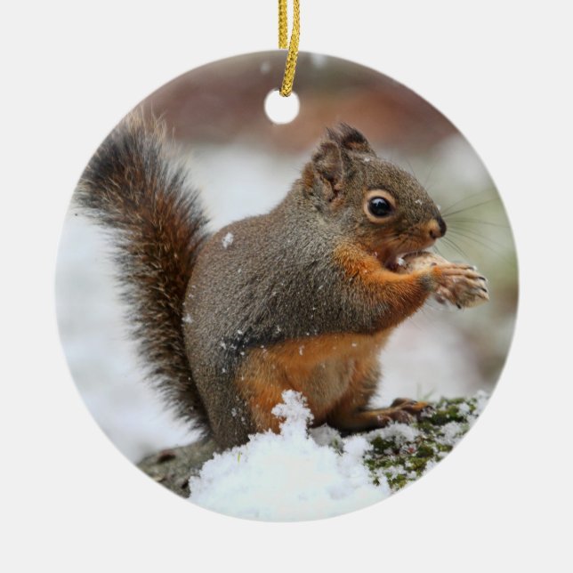 Cute Squirrel in the Snow Photo Ceramic Tree Decoration (Front)