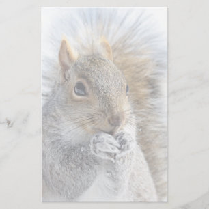 Cute Squirrel in Winter Stationery
