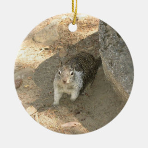 Cute Squirrel in Yosemite, CA Ceramic Tree Decoration