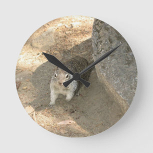 Cute Squirrel in Yosemite, CA Round Clock