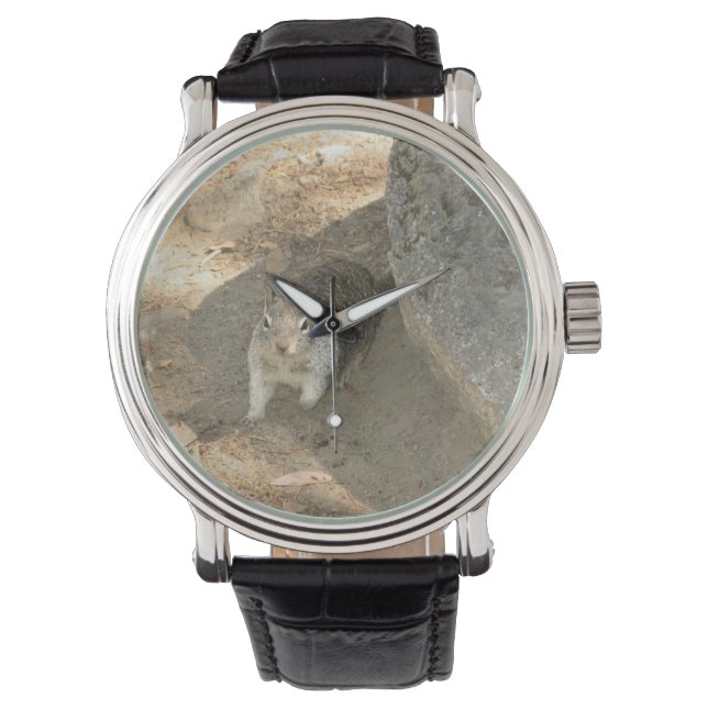 Cute Squirrel in Yosemite, California Watch (Front)