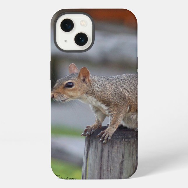 Cute squirrel iPhone 6 Case (Back)