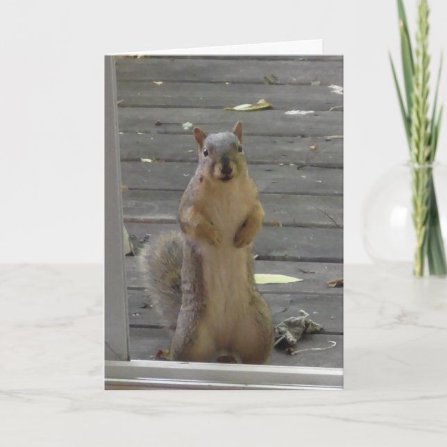 Cute Squirrel, Keep in Touch, Card (Front)