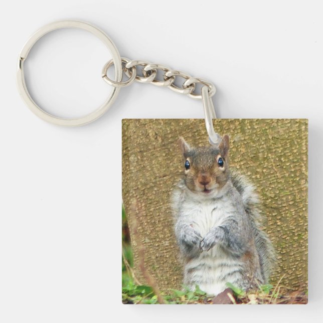 Cute Squirrel Key Ring (Front)