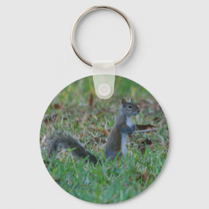 Cute Squirrel Key Ring