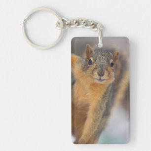 Cute Squirrel Key Ring