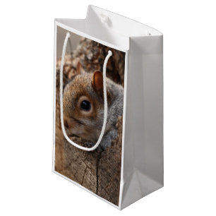 Cute squirrel looks out of her hole small gift bag