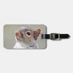 Cute Squirrel Luggage Tag