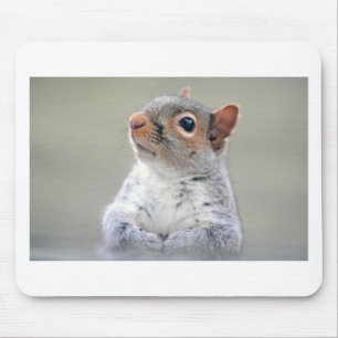 Cute Squirrel Mouse Mat