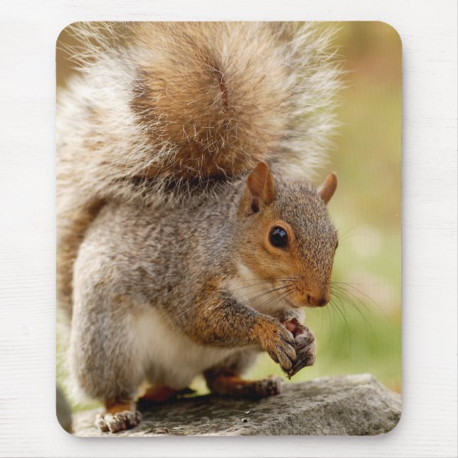 Cute Squirrel Mouse Mat (Front)