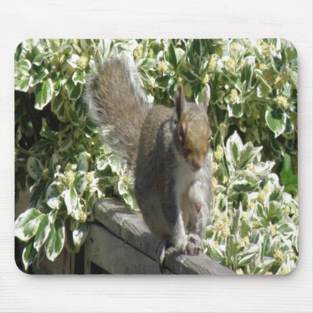 Cute Squirrel Mousepad (Front)