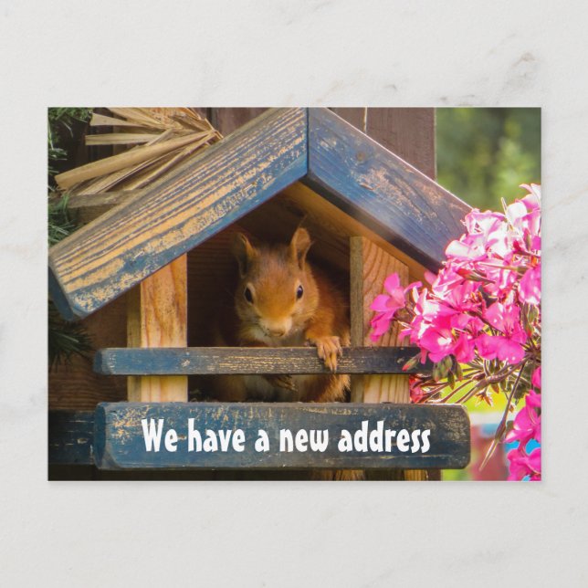 Cute Squirrel New Home Address Just Moved Announcement Postcard (Front)