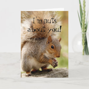 Cute Squirrel "Nuts About You" Card
