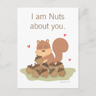 Cute Squirrel Nuts About You Pun Love Humour Postcard