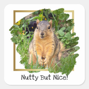 Cute Squirrel Nutty But Nice Square Sticker