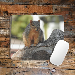 Cute Squirrel on a Tree Branch Mouse Mat