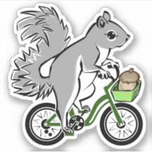 Cute Squirrel On Bicycle