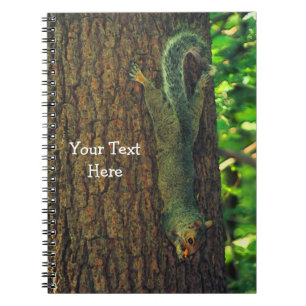 Cute Squirrel On Tree Animal Notebook