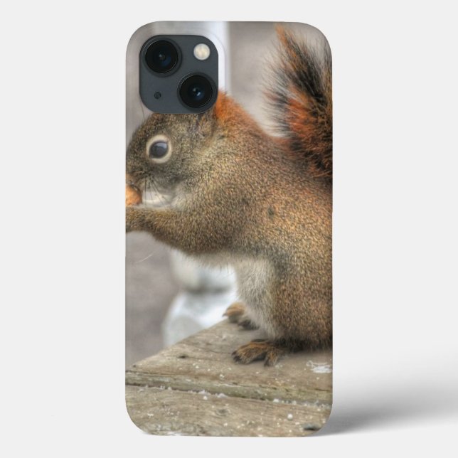 Cute Squirrel & Peanut Wildlife Photo Case-Mate iPhone Case (Back)