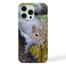 Cute squirrel phone case