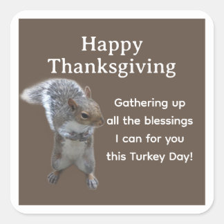 Cute Squirrel Photo Happy Thanksgiving Day Square Sticker