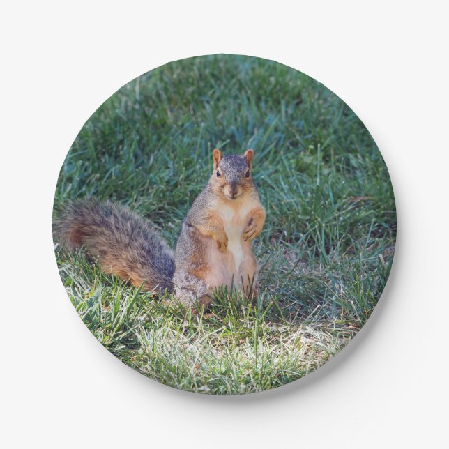 Cute Squirrel Photo Paper Plate (Front)