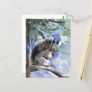 Cute squirrel postcard