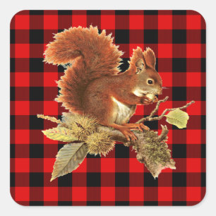 Cute Squirrel Red Black Buffalo Check Plaid Square Sticker