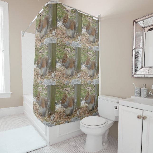 Cute Squirrel Shower Curtain (In Situ)