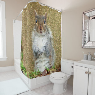 Cute Squirrel Shower Curtain