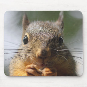 Cute Squirrel Smiling Photo Mouse Mat