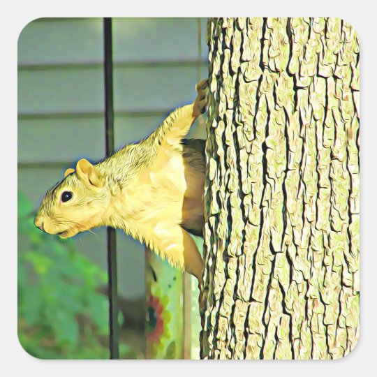 Cute Squirrel Stickers